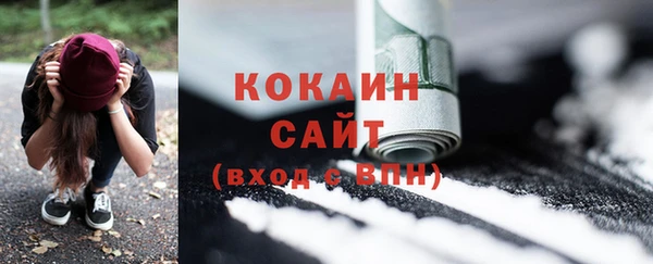 дживик Алзамай