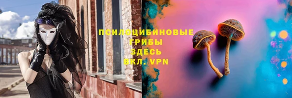 дживик Алзамай