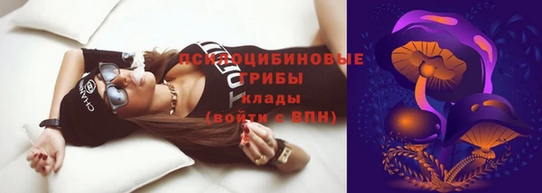 спайс Алексин