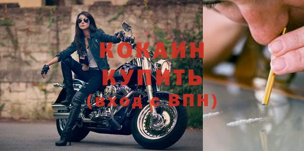 дживик Алзамай