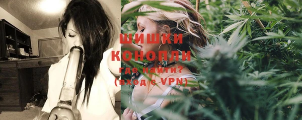 PSILOCYBIN Алексеевка