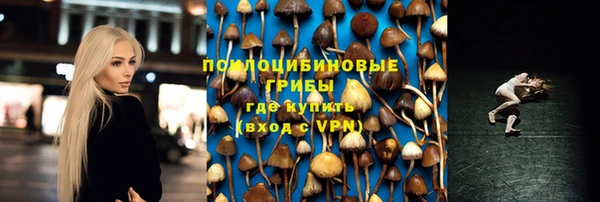 дживик Алзамай