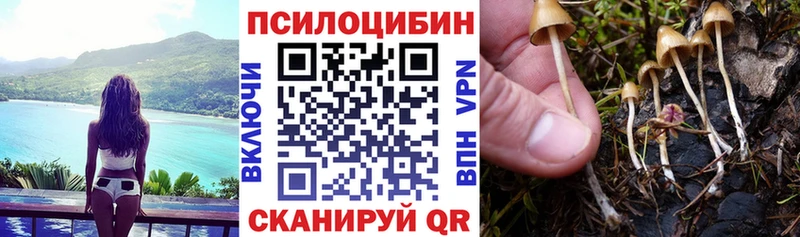 Псилоцибиновые грибы Magic Shrooms  Белореченск 
